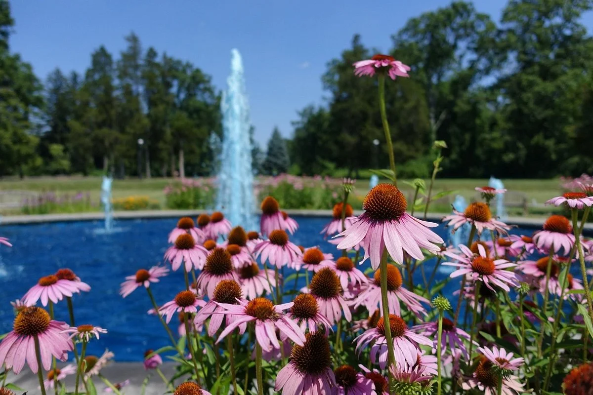 Duke Farms