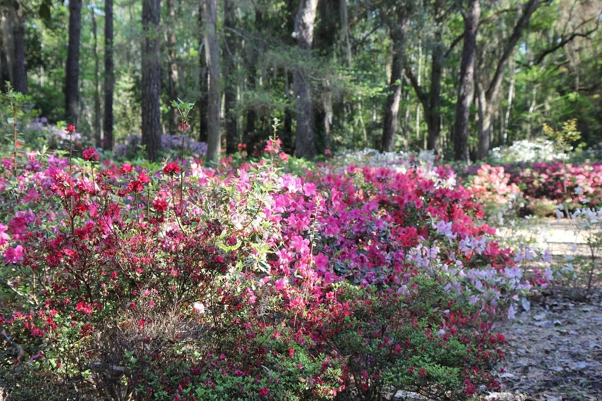 Wesley Memorial & Gardens