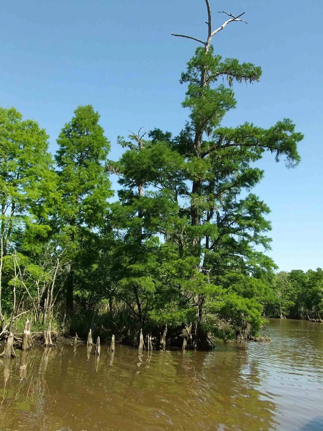 Neches River