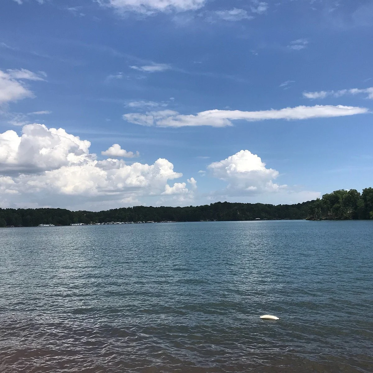 South Cove County Park