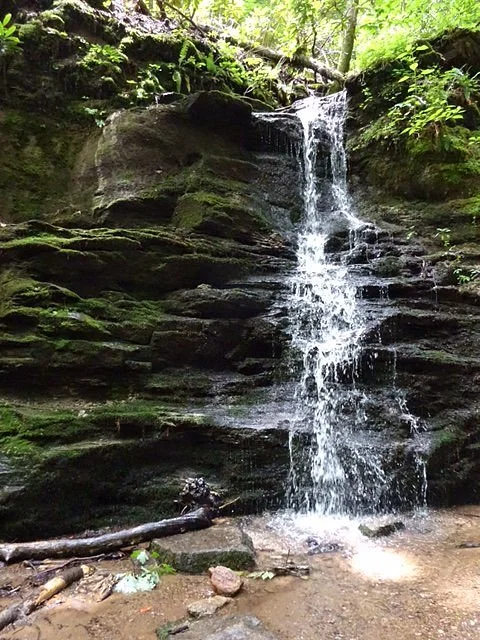 Warwoman Dell Recreation Area