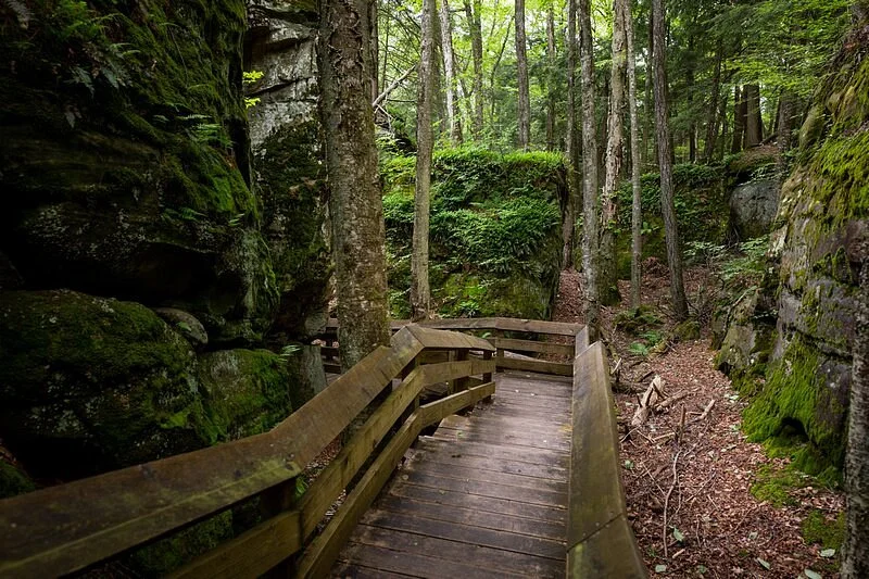 Beartown State Park