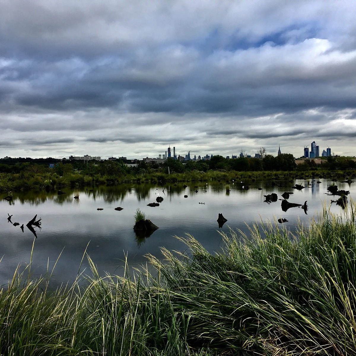 Mill Creek Marsh