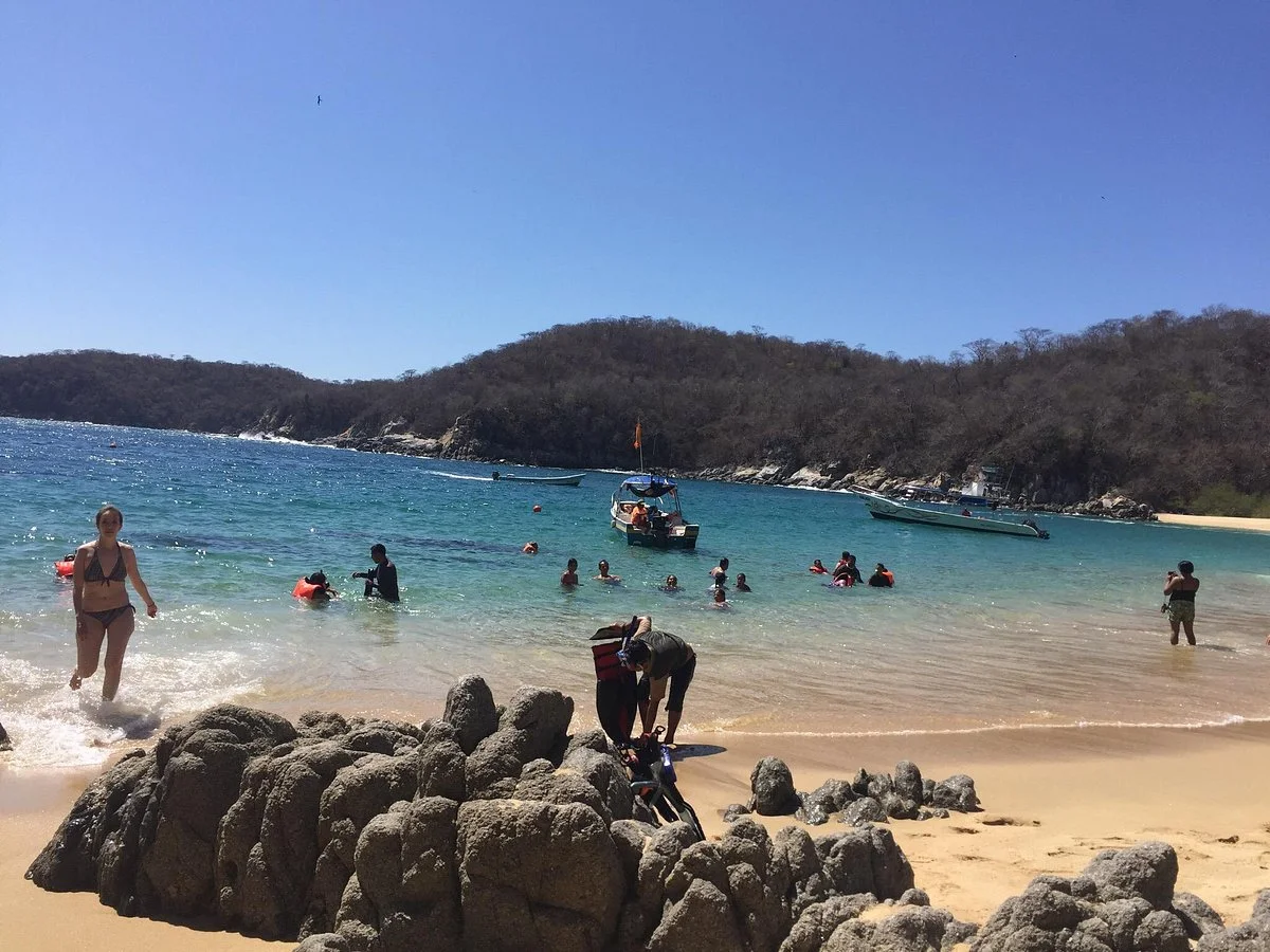 Playa Organo