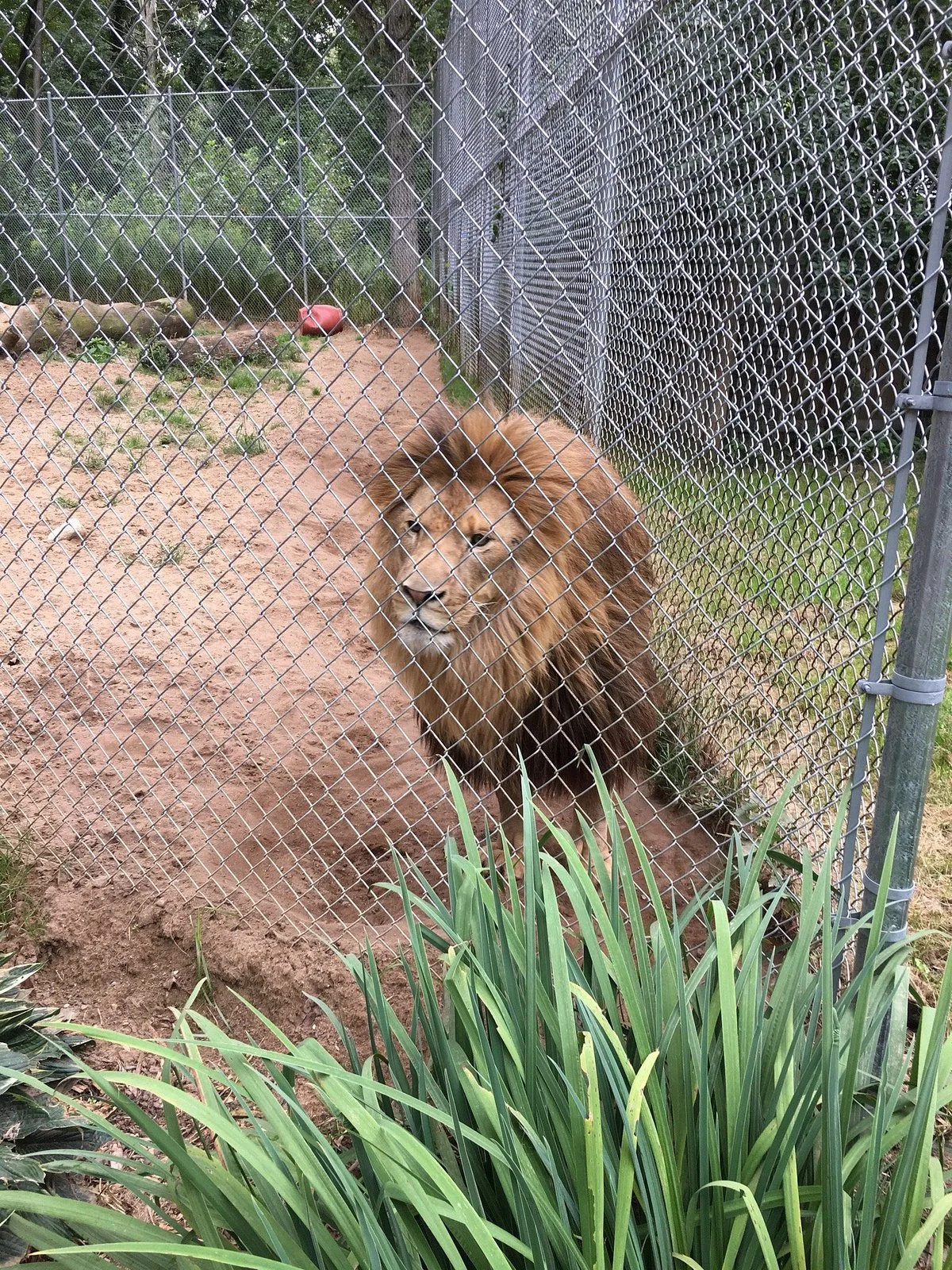 Wilderness Trails Zoo