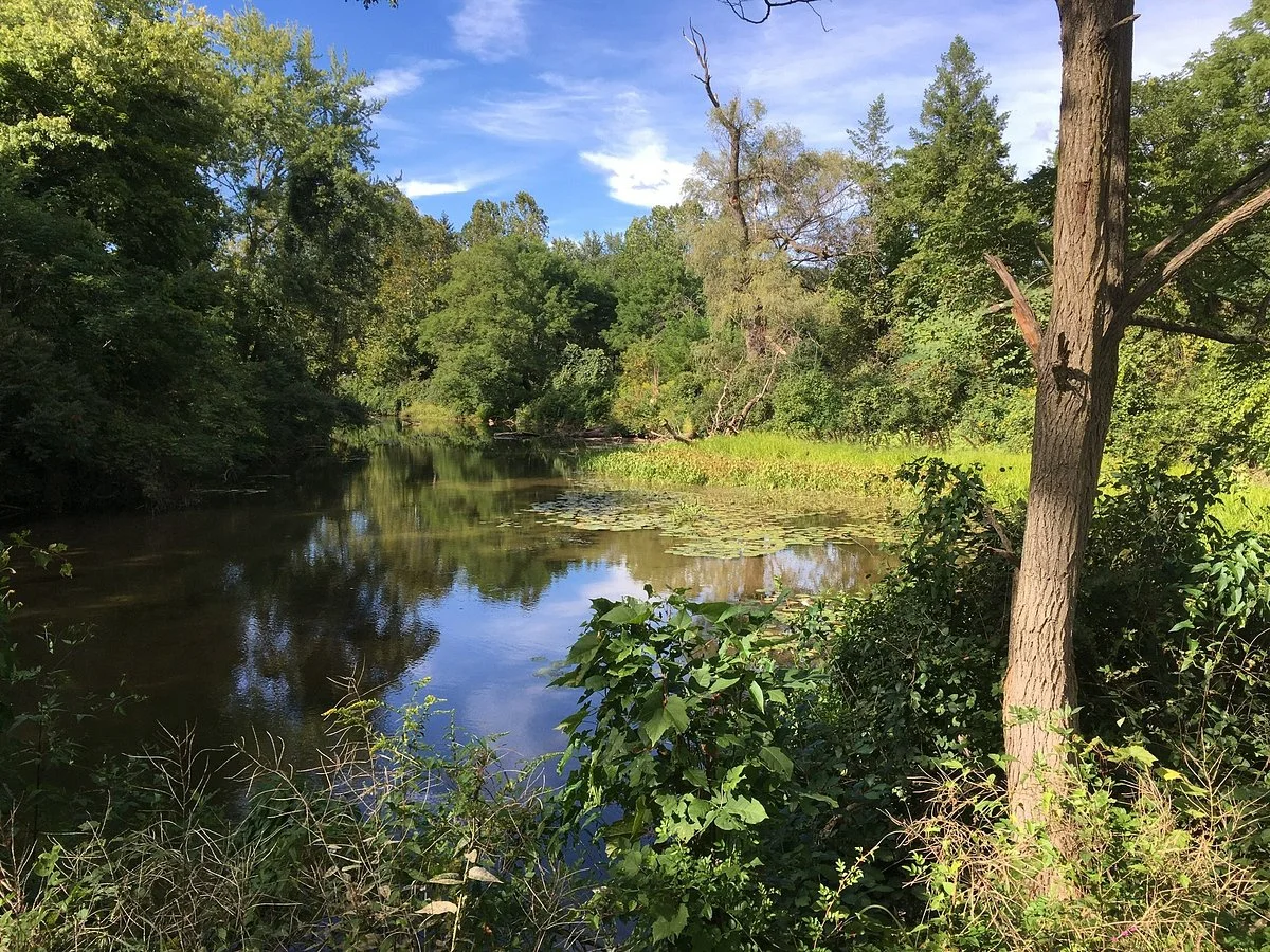 New Island Trail