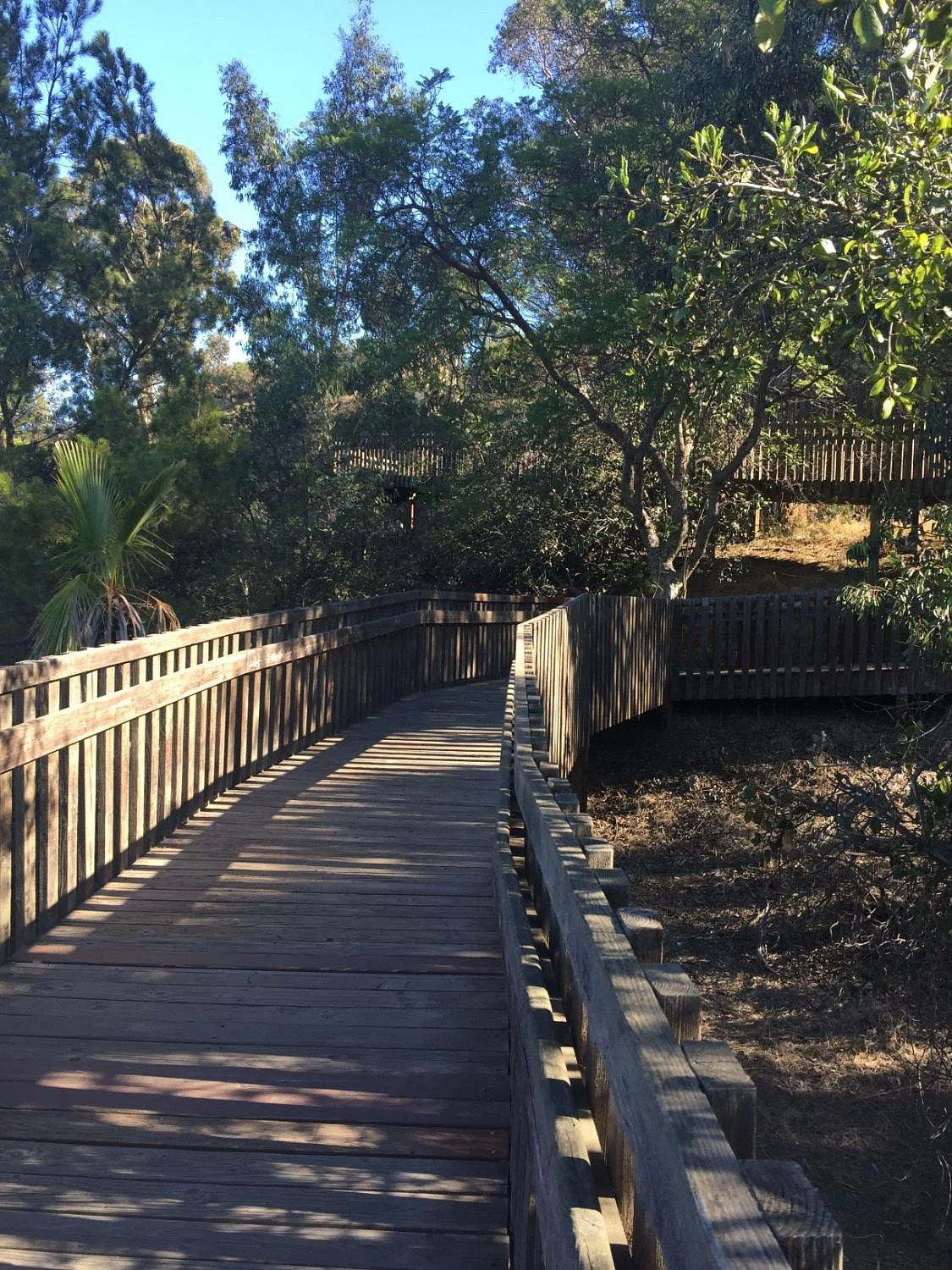 Culver City Park