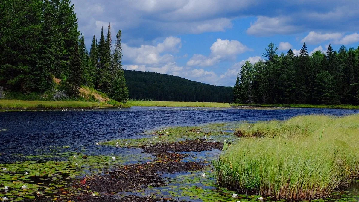 Lake Opeongo