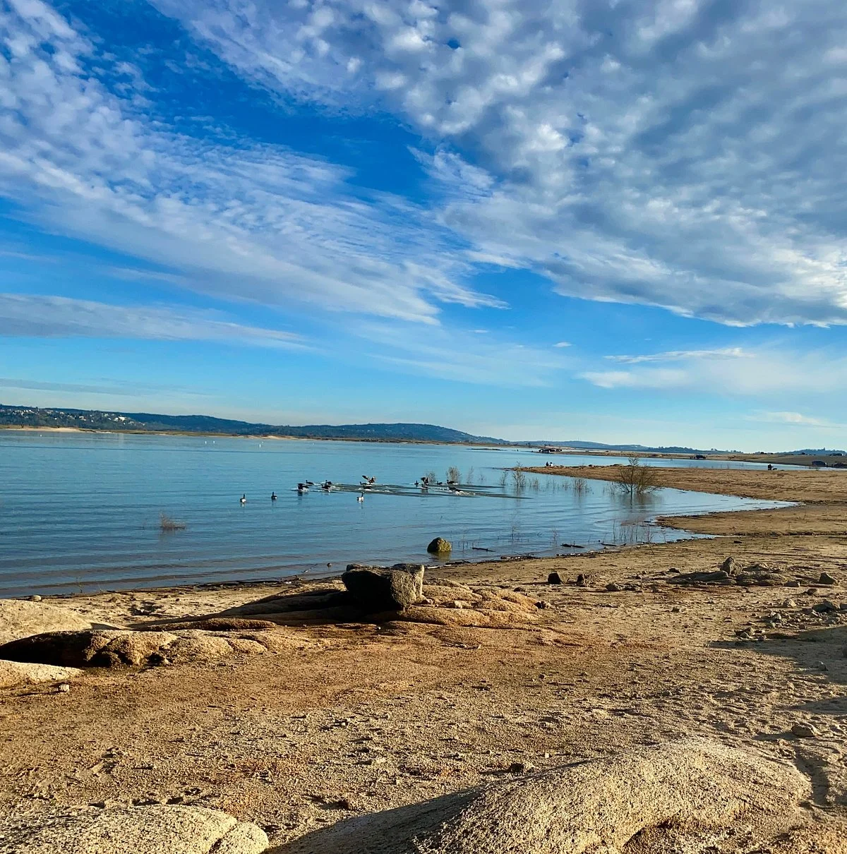Beals Point