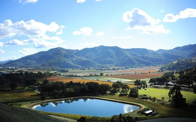Nelson Family Vineyards