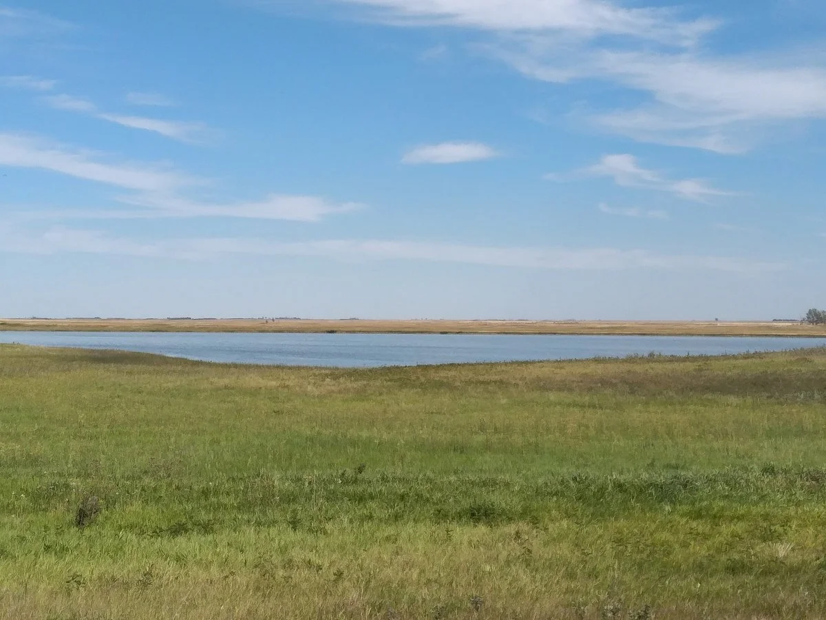 Last Mountain Lake National Wildlife Area