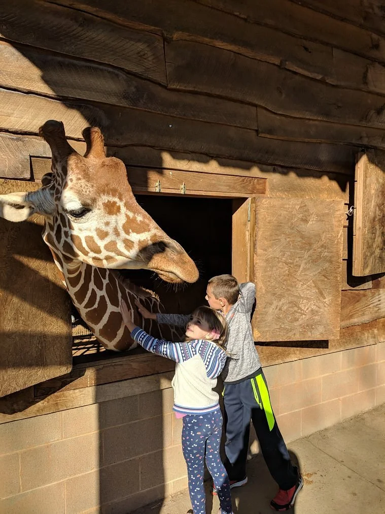 Zootastic Park