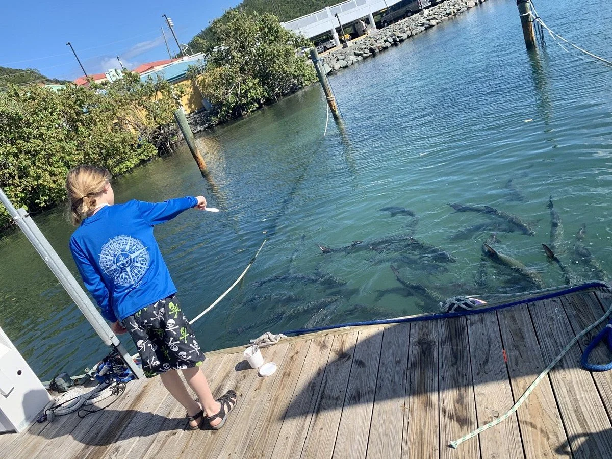 Ocean Surfari - Feed Monster Tarpon
