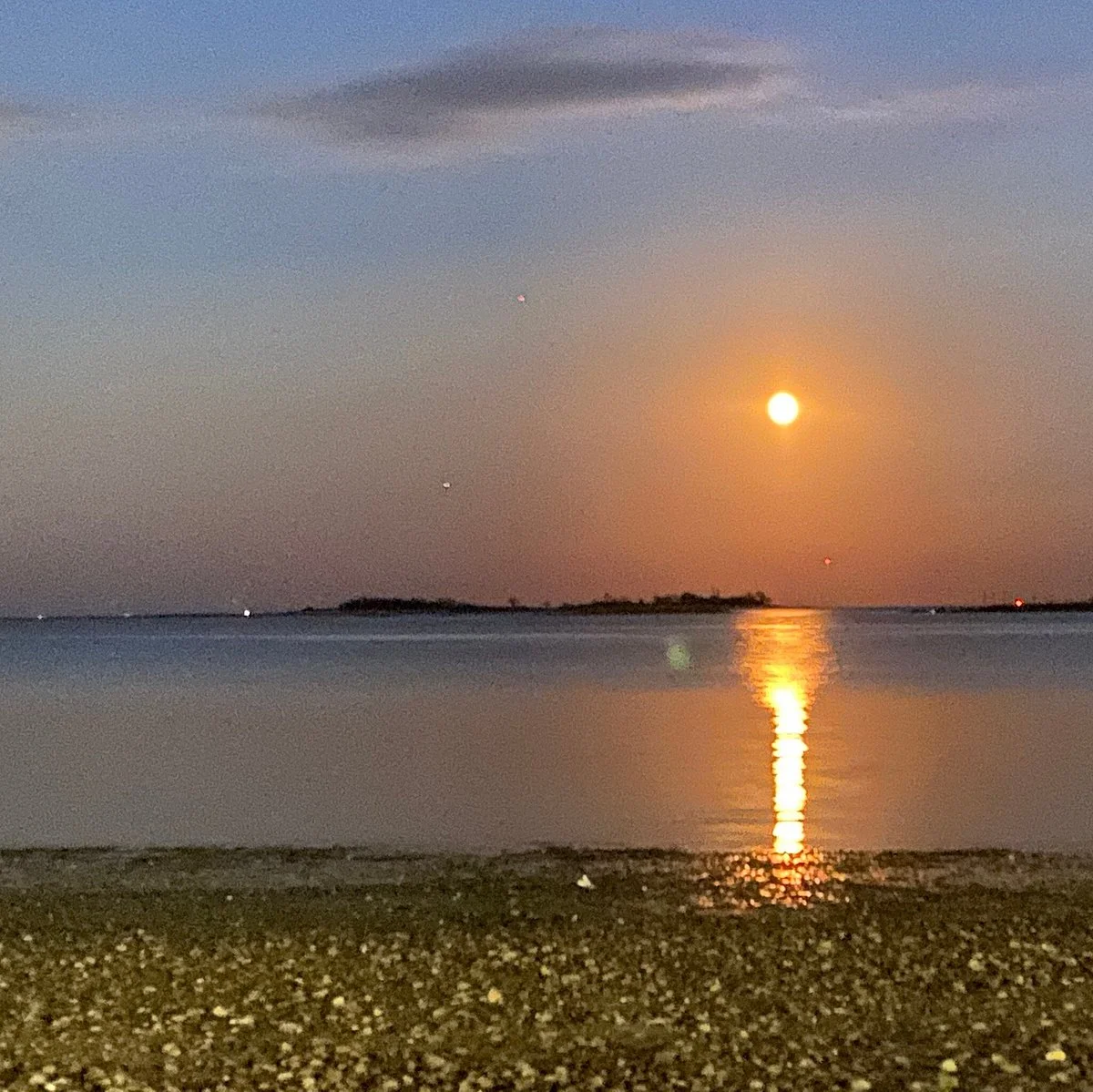 Calf Pasture Beach