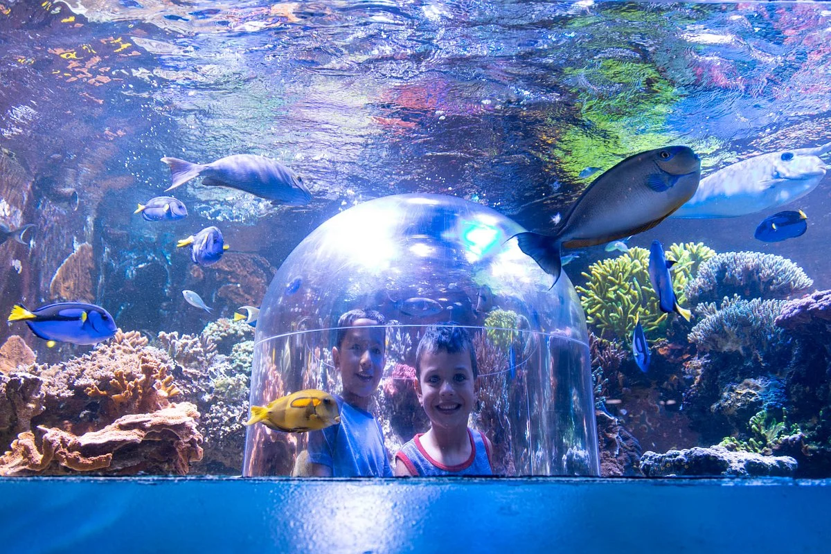 Butterfly House & Aquarium