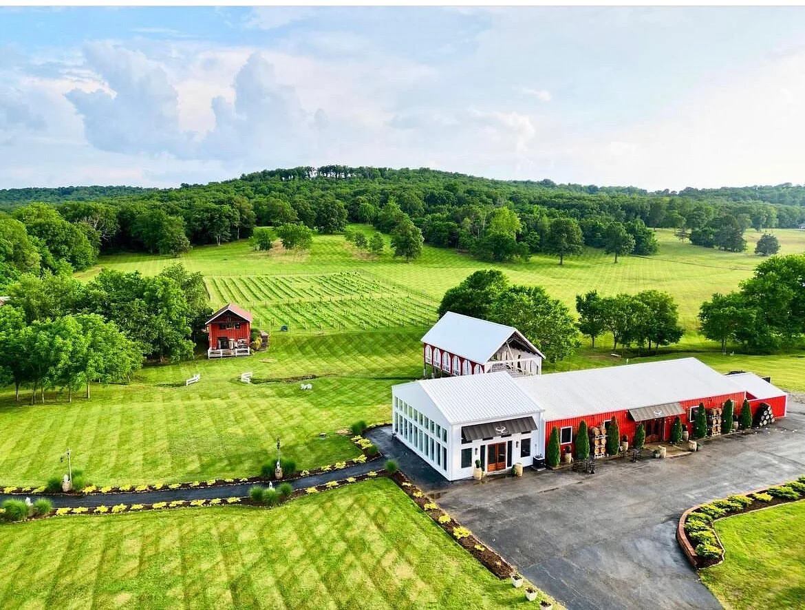 Sassafras Springs Vineyard