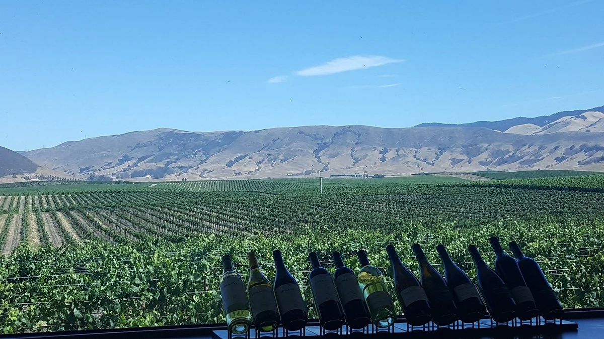 Edna Valley Vineyard