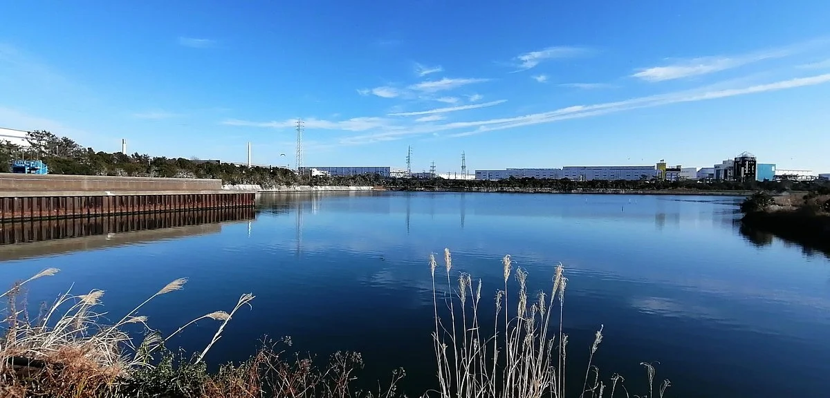 Gyotoku Birdwatching Facility