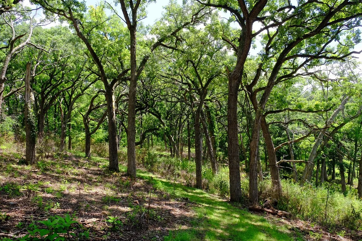 Stewart Lake County Park