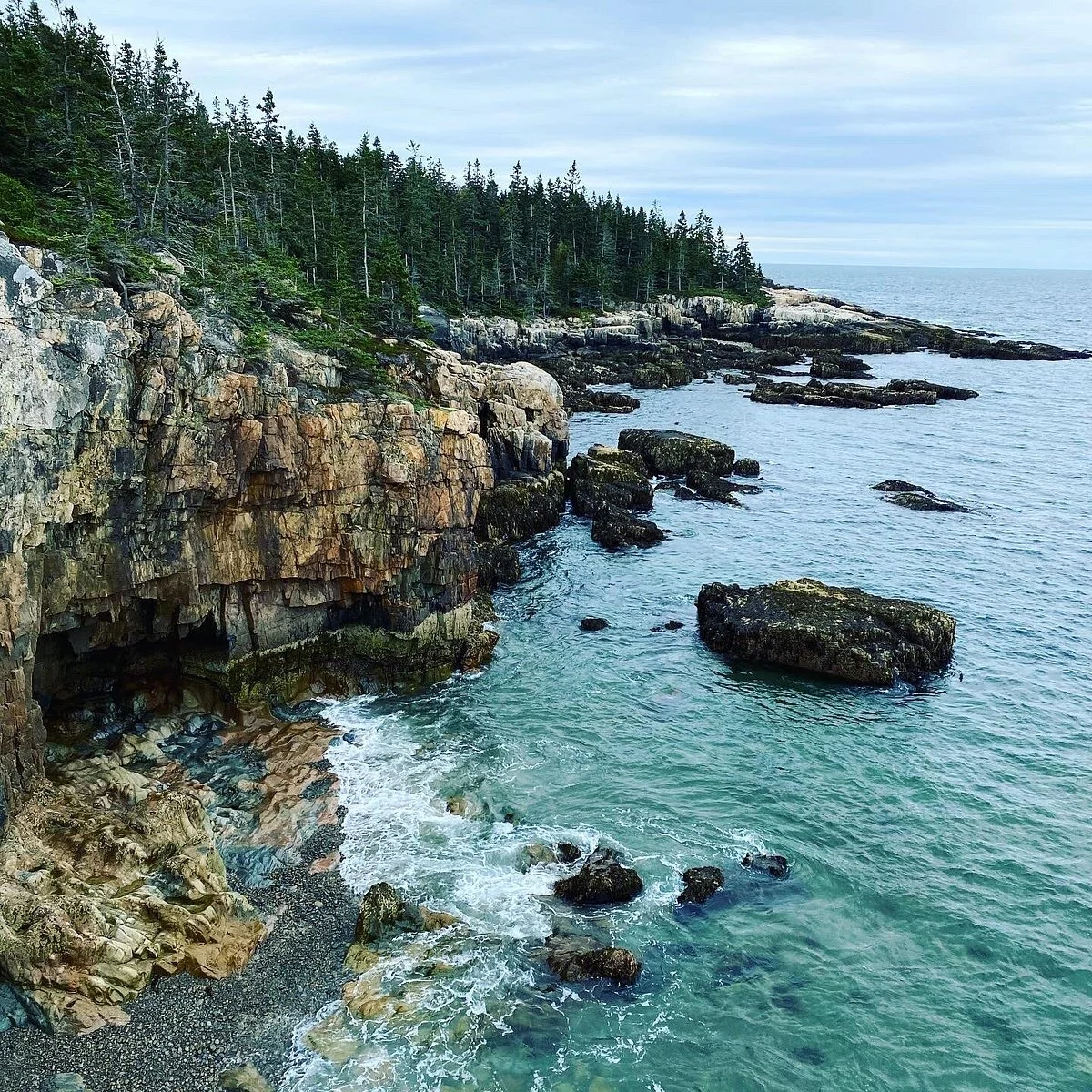 Schoodic Point