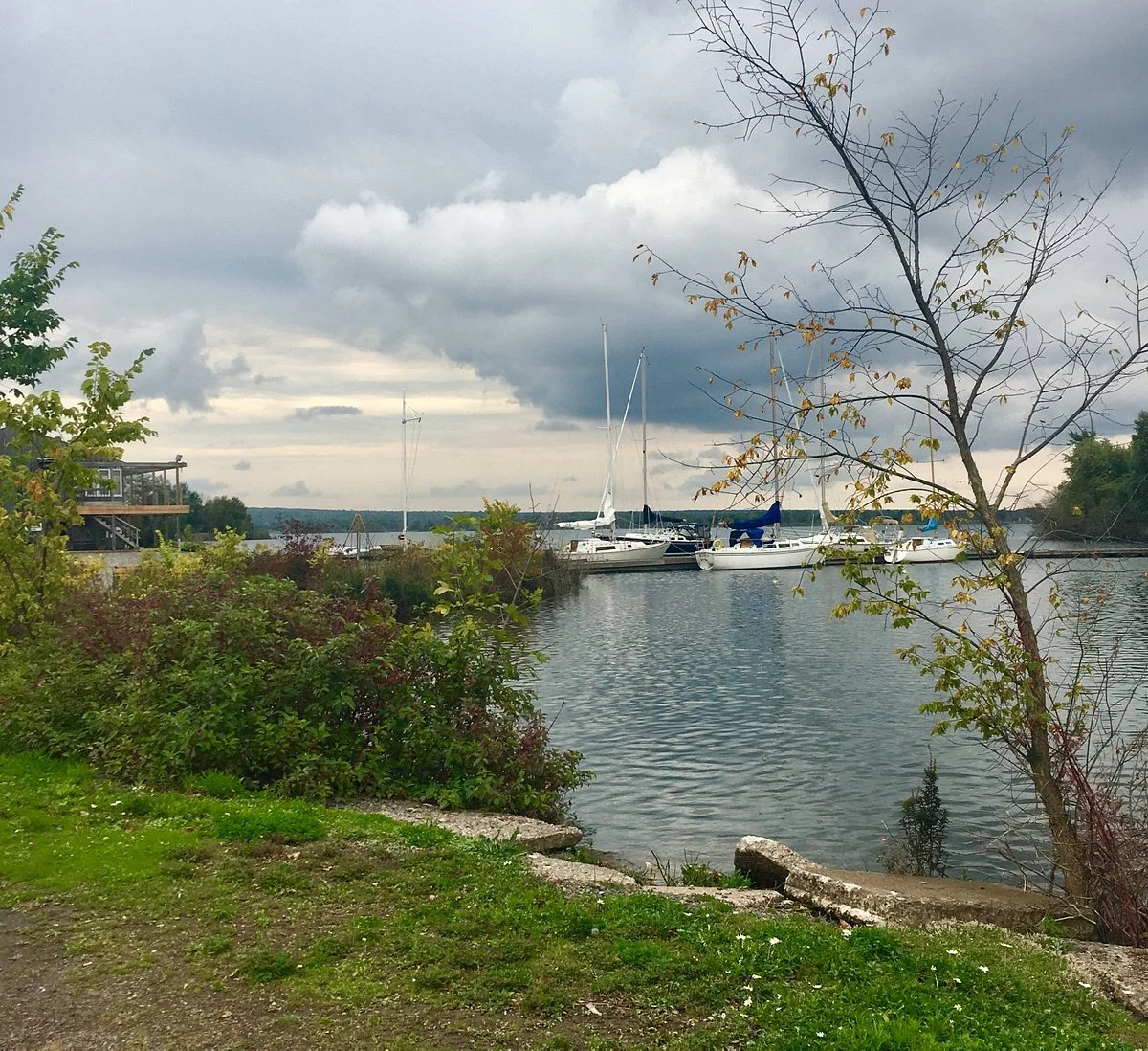 Bellevue Park