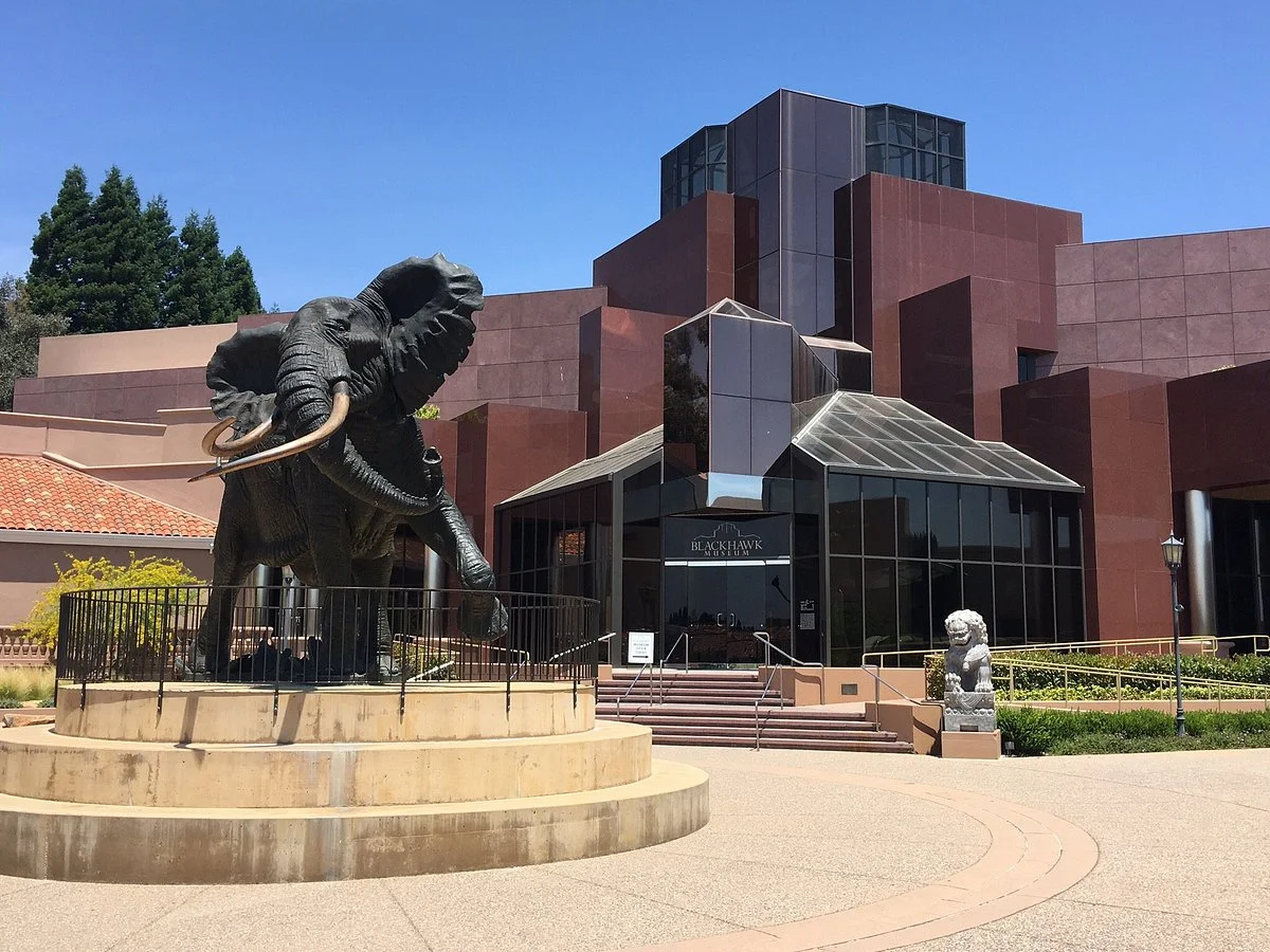 Blackhawk Museum