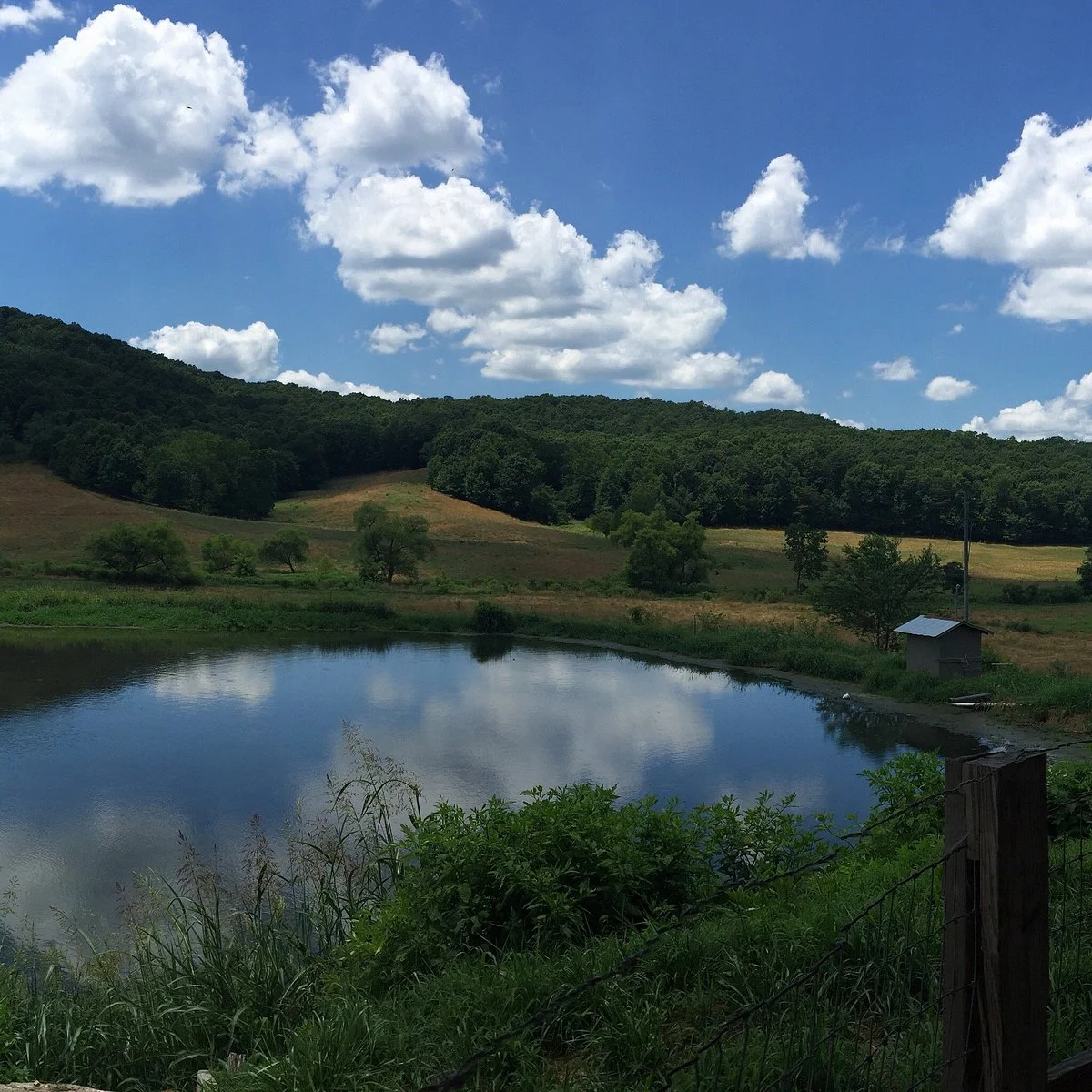 Mountain Valley Farm