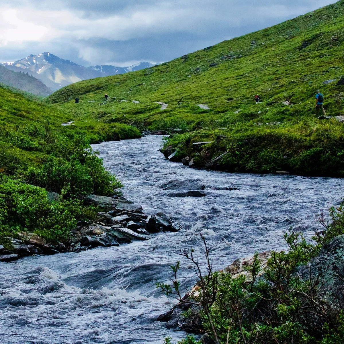 Savage River Loop Trail