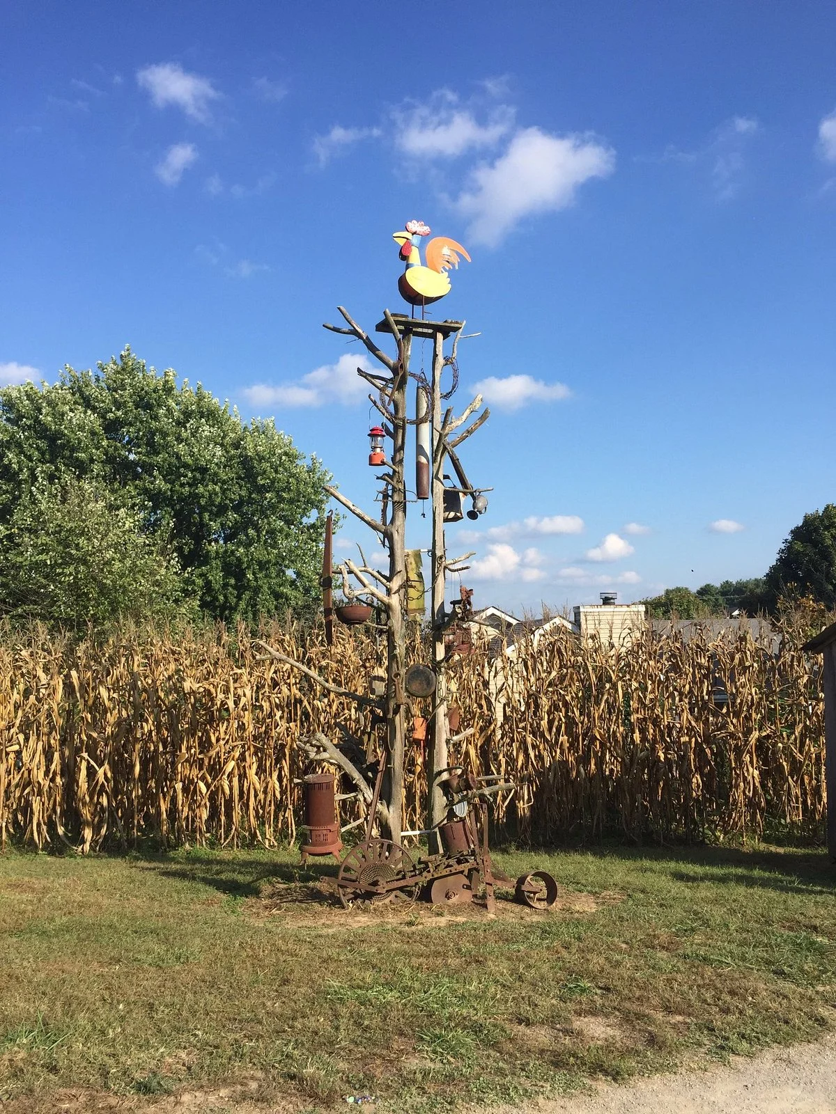 Walden Pumpkin Farm