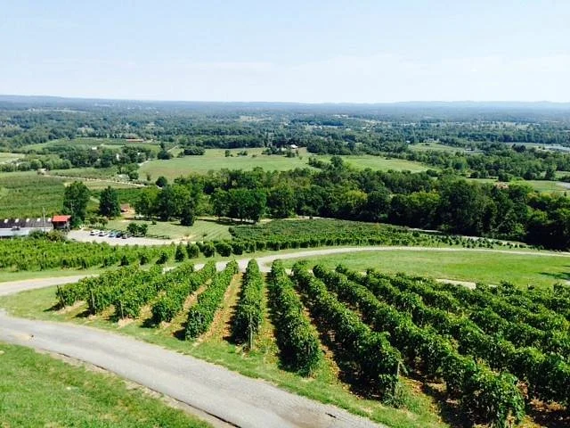 Bluemont Vineyard