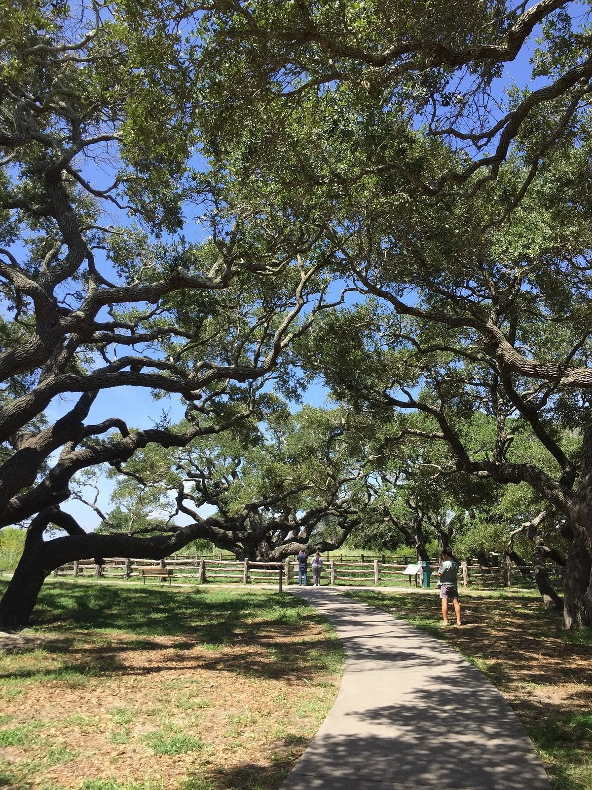 Goose Island State Park