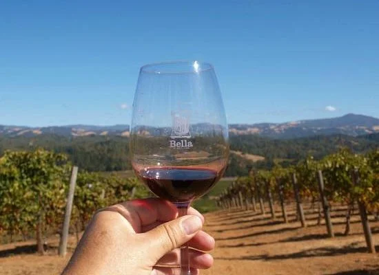 Bella Vineyards and Wine Caves