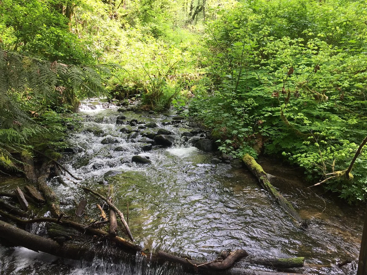 Flaming Geyser State Park