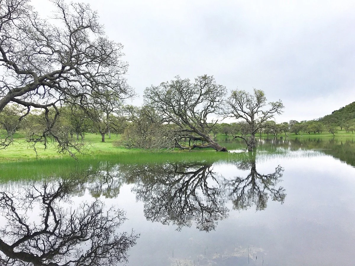 Rockville Hills Regional Park
