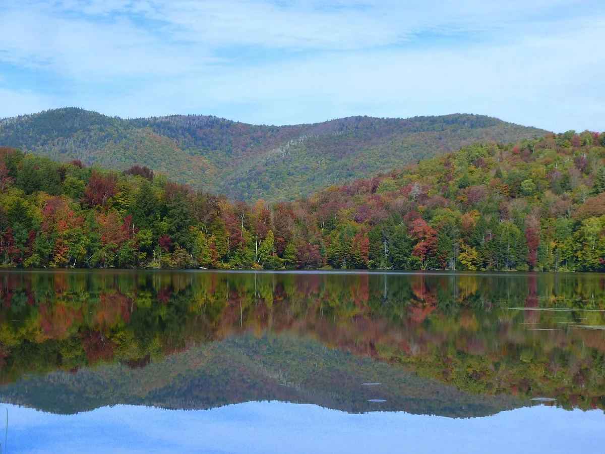 Gifford Woods State Park