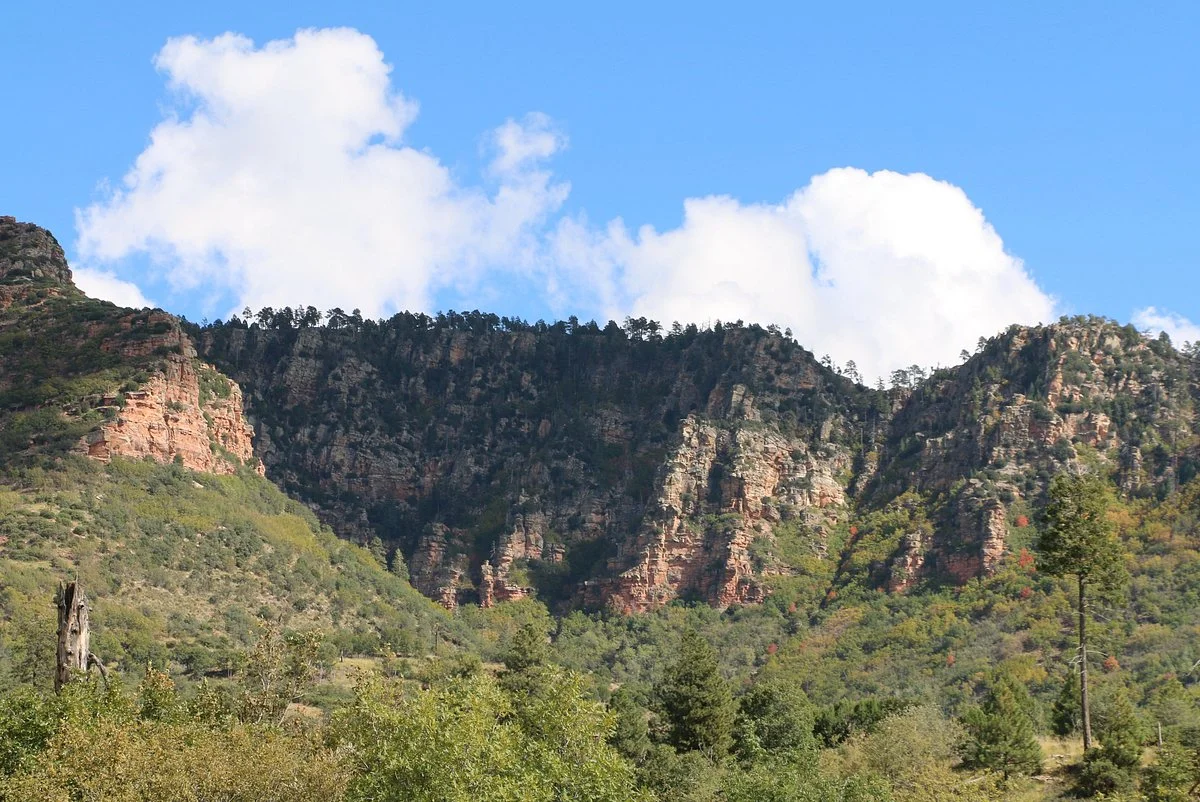 Tonto Creek Fish Hatchery