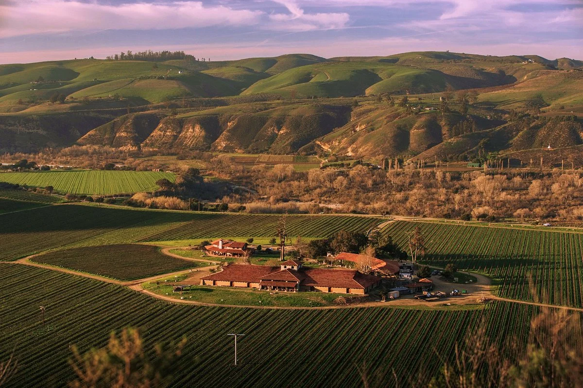 Sanford Winery & Vineyards