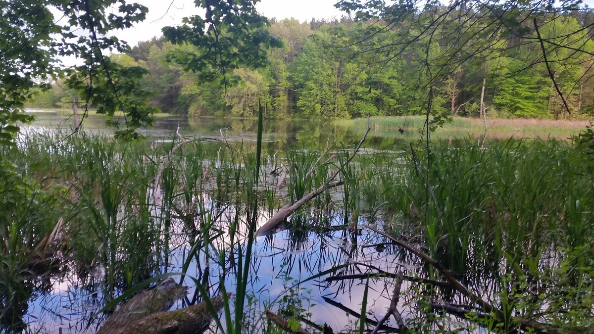 Pontiac Lake Recreation Area