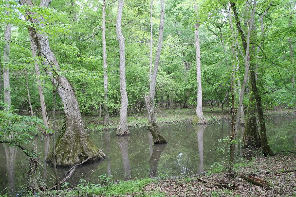 WC Johnson Park