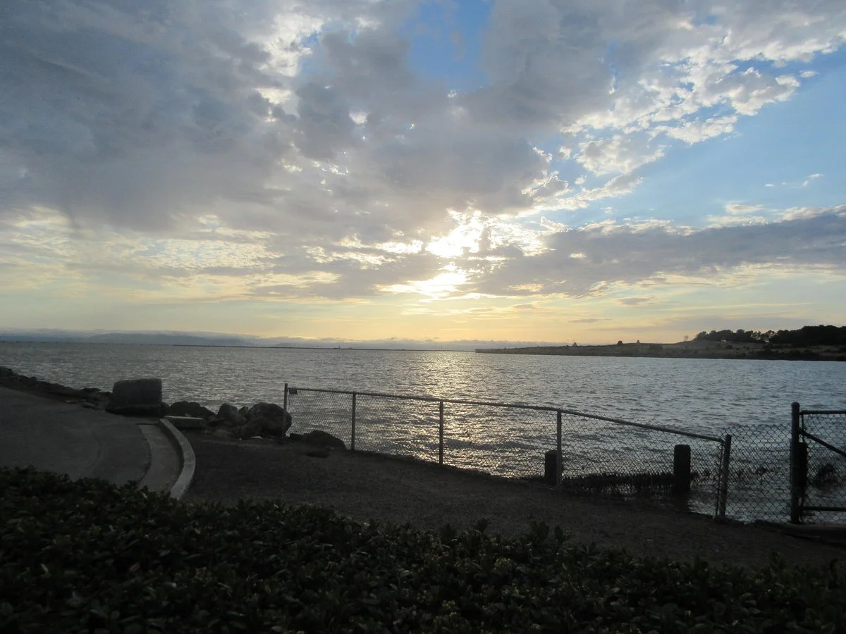 Marina Park