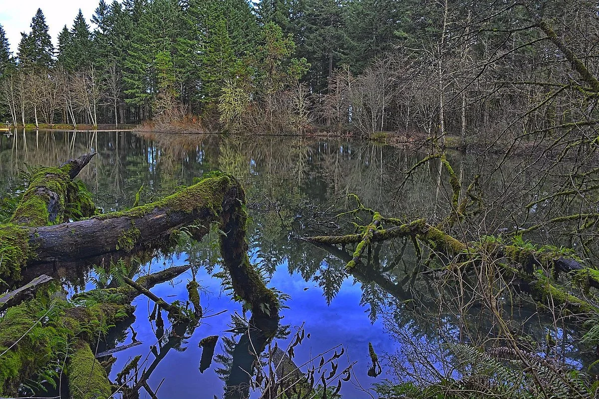 Peavy Arboretum