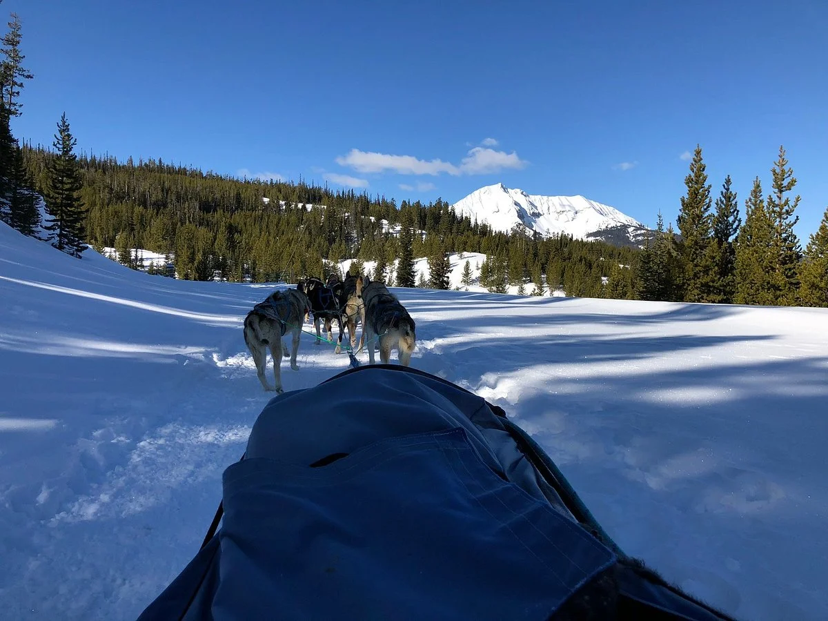 Spirit of the North Sled Dog Adventures