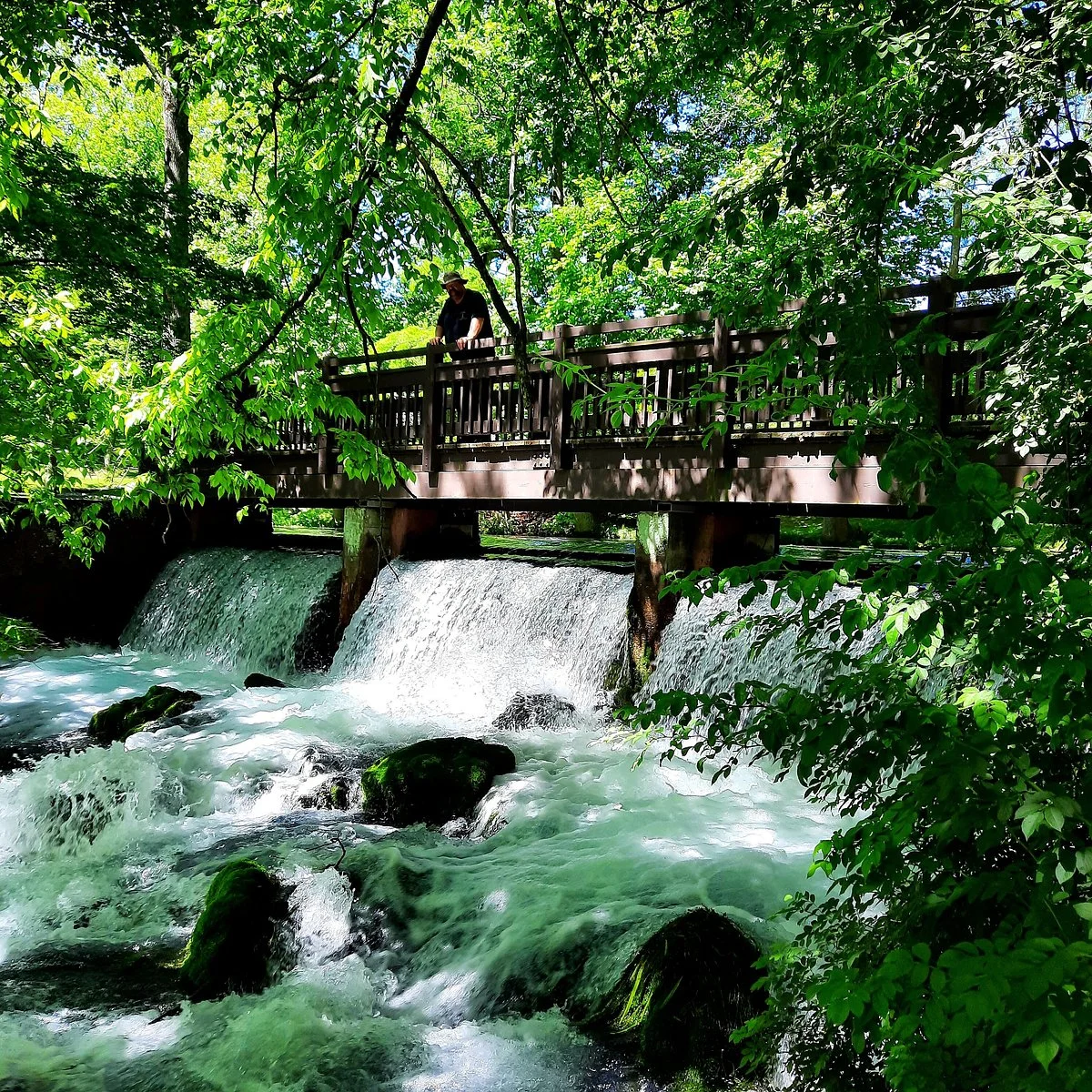Maramec Spring Park