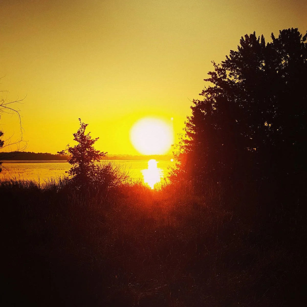 Ken Reid Conservation Area