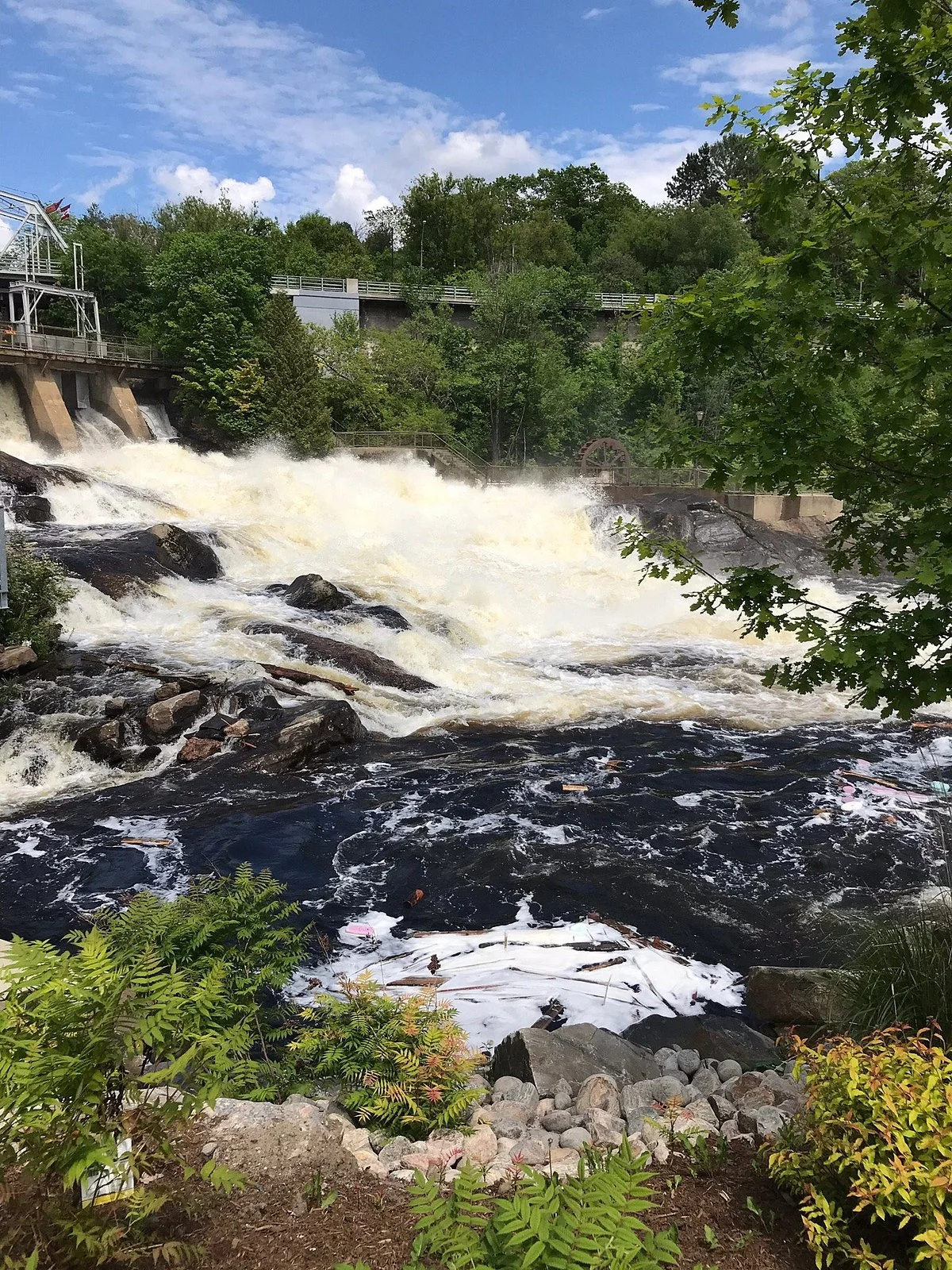 Bracebridge Falls