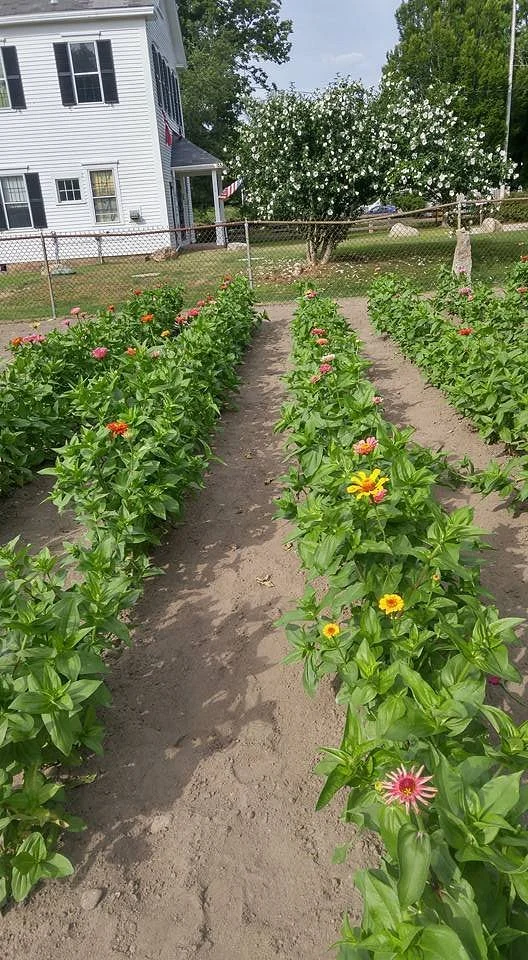 Alderbrook Farm