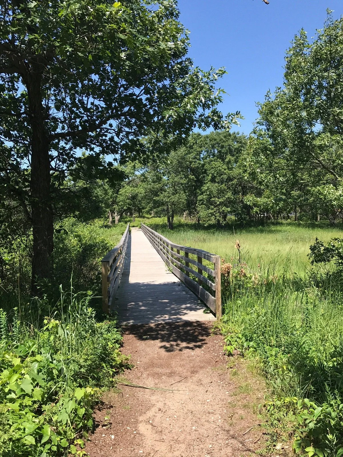 Illinois Beach State Park