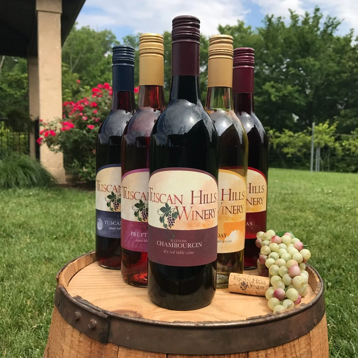 Tuscan Hills Winery