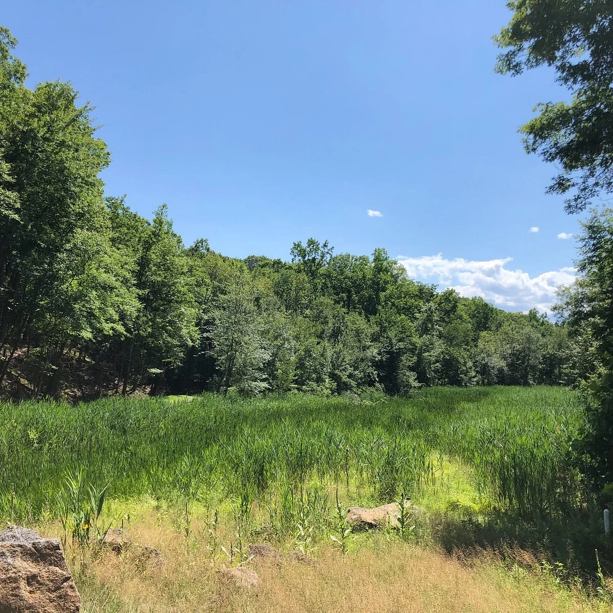 Blue Mountain Reservation
