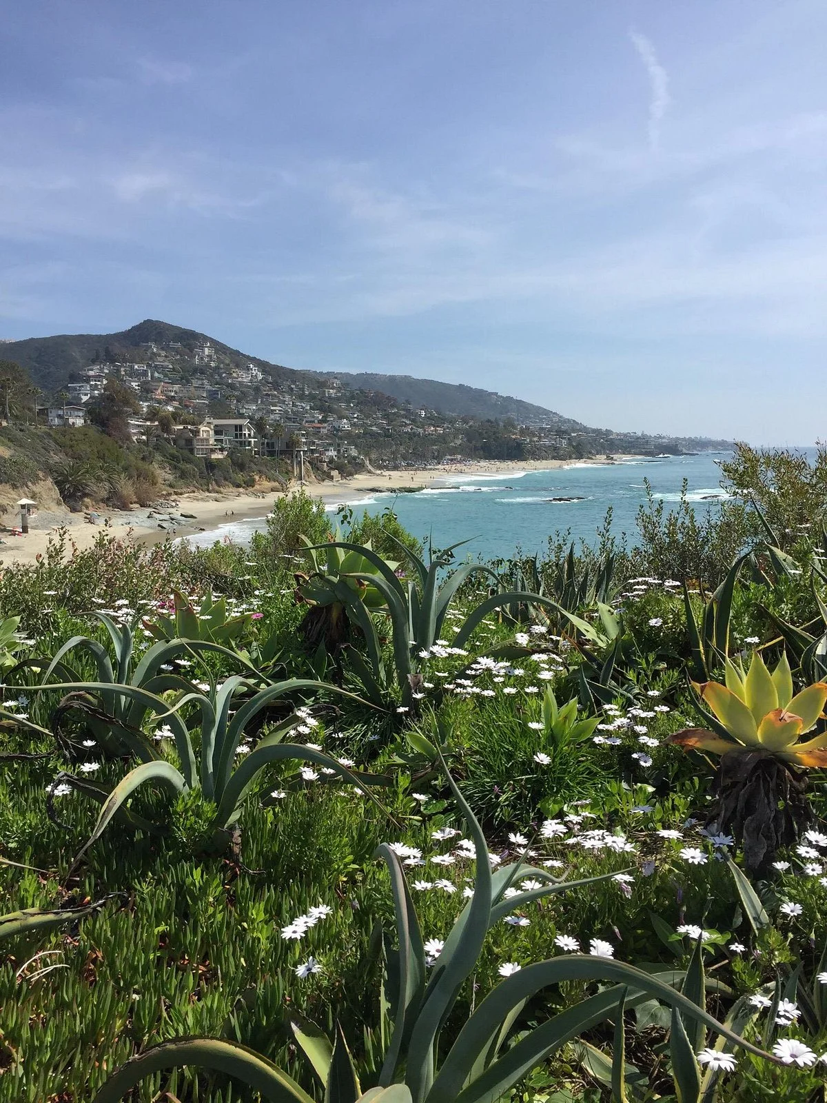 Aliso Beach Park